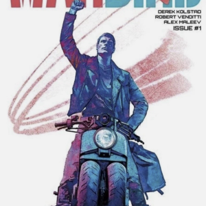 Bad Idea Comics Warbird #1 Cover A Alex Maleev